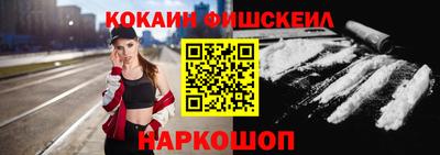 крисы Моздок