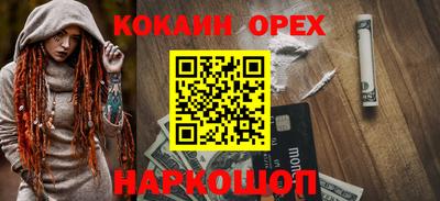 крисы Моздок