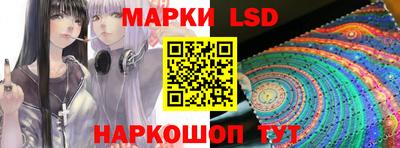 крисы Моздок