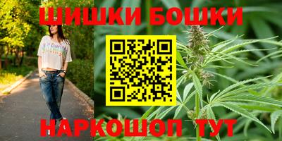 крисы Моздок