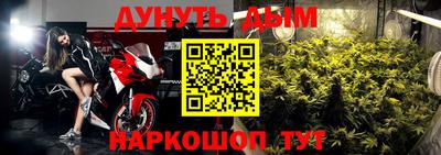 крисы Моздок