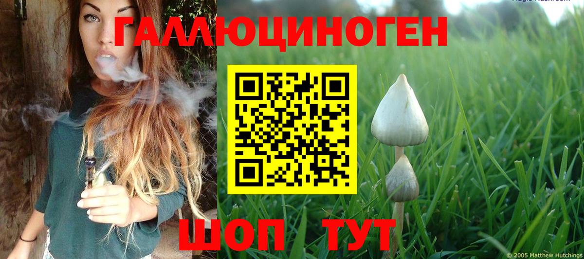 Галлюциногенные грибы Magic Shrooms  Псилоцибиновые грибы GOLDEN TEACHER  Удомля  Вход с VPN 